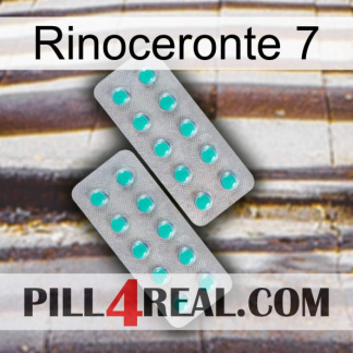 Rhino 7 29